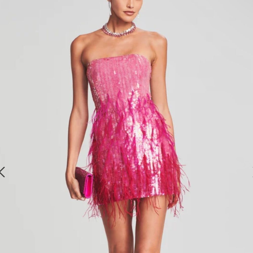 Retrofete Pink Sequin Feather Mini Dress